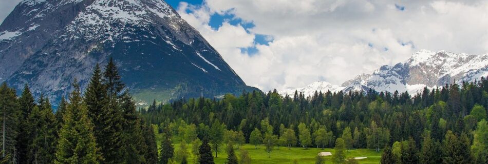 Scenic view of snow-capped Himalayas and pine forests — featured in the 10 best places to visit in Himachal Pradesh travel blog.