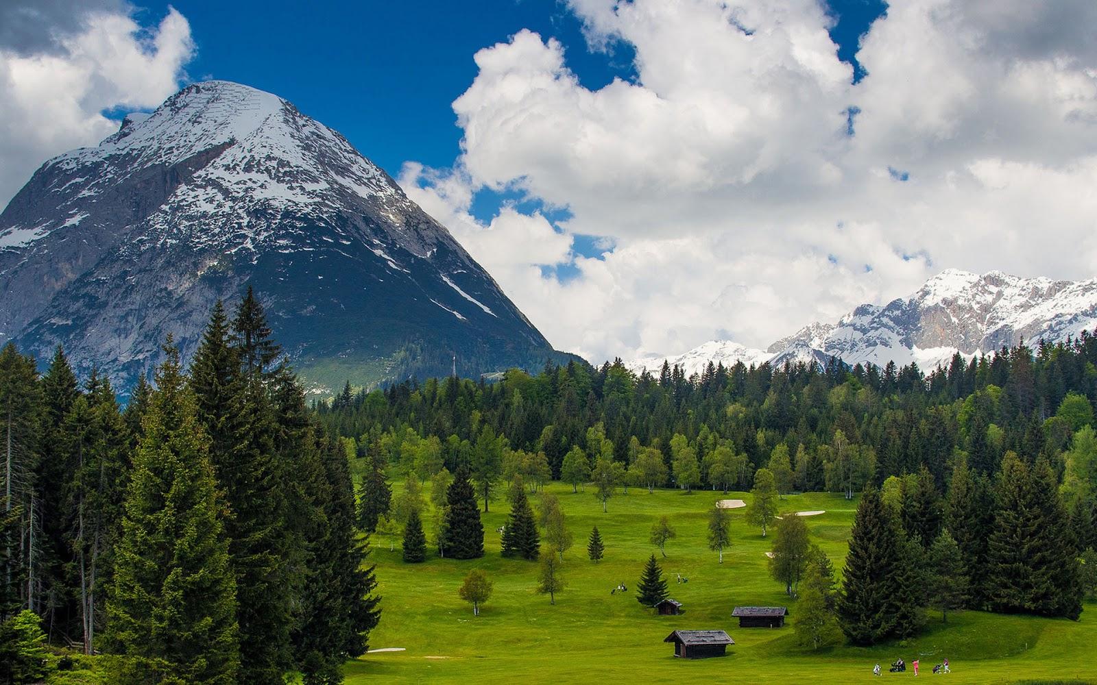 Scenic view of snow-capped Himalayas and pine forests — featured in the 10 best places to visit in Himachal Pradesh travel blog.